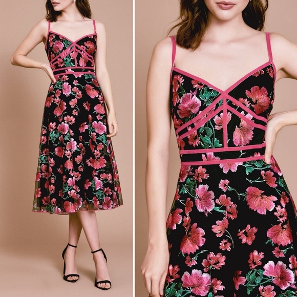 Tadashi Shoji Posie Bustier Dress Midi Fit Flare Floral Embroidered Feminine 8 - Picture 1 of 13
